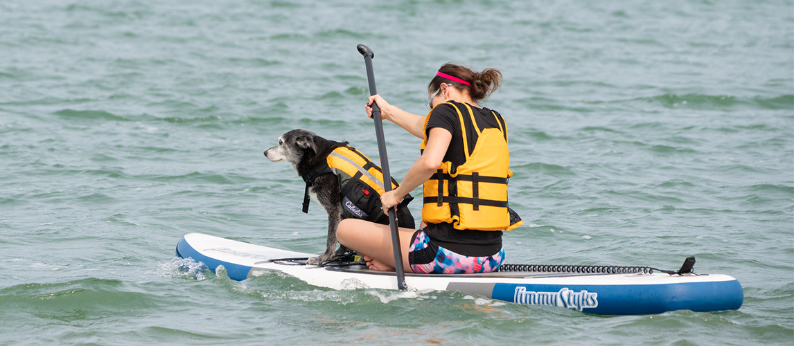 Dog and owner in a kayak