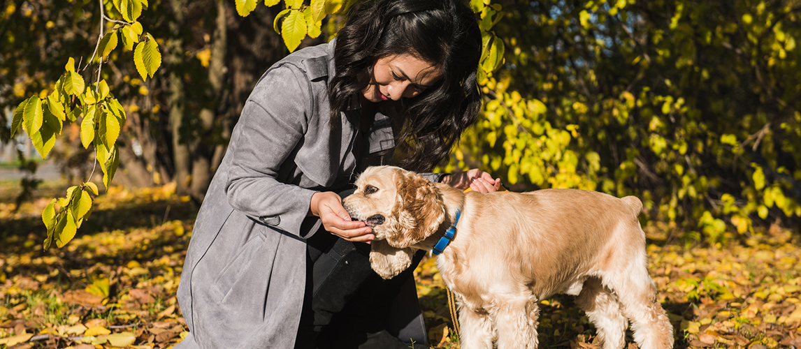 Attractive asian woman feeds dog in park