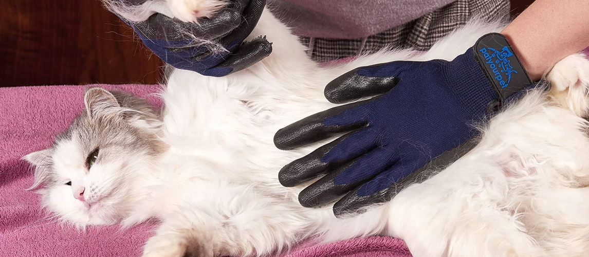 Cat grooming gloves