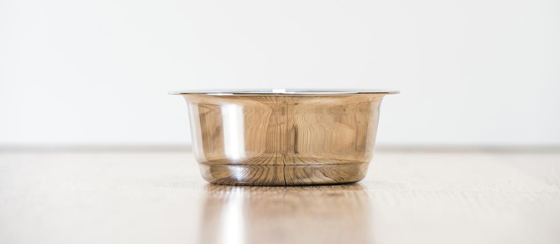 Cat water bowl