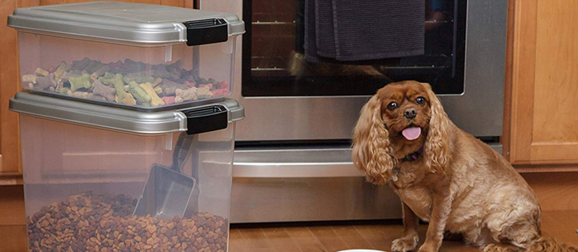 Dog and his food boxes