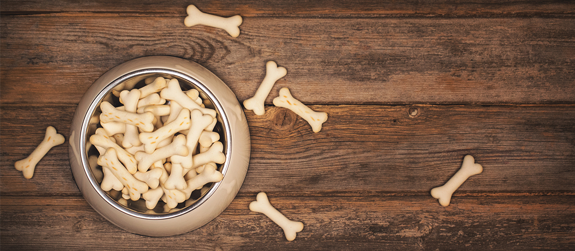 Dog biscuits in a bowl