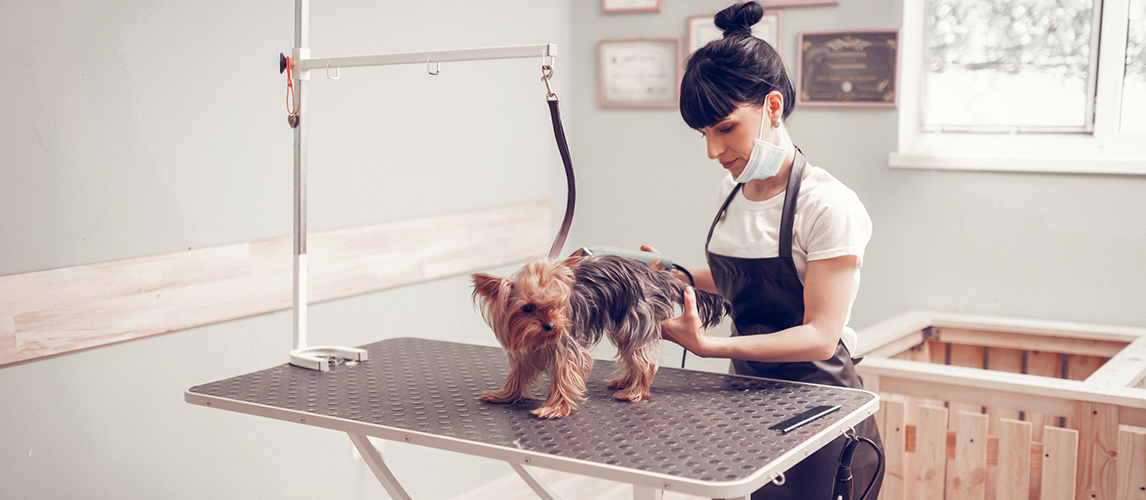 Dog grooming table