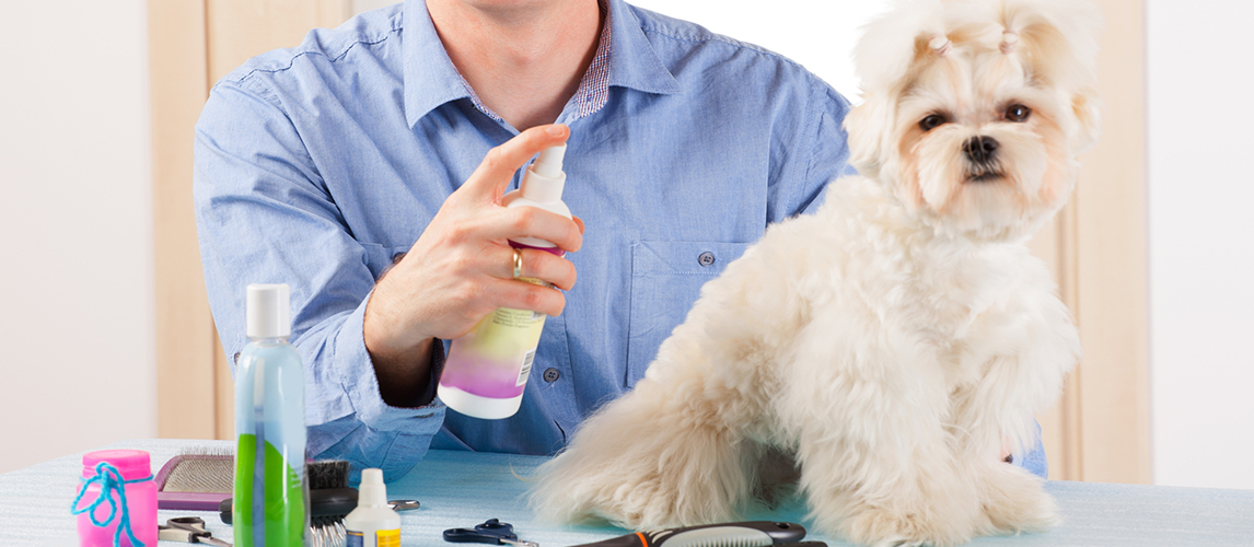 Dry shampoo for dogs