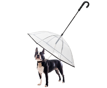 best umbrella for dog walking