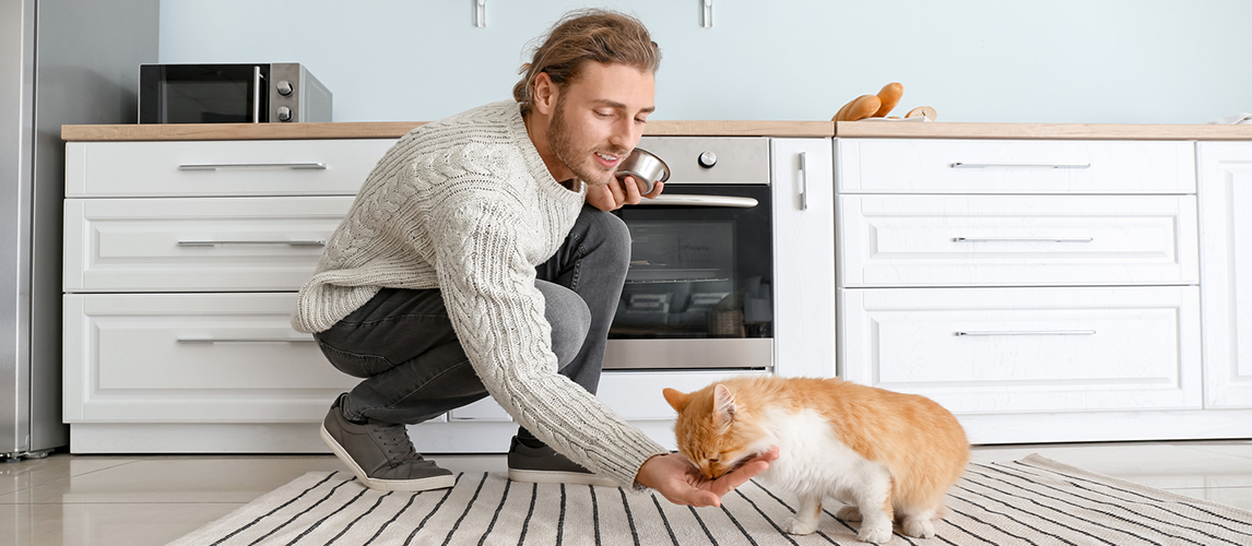 Man feeding a cat 