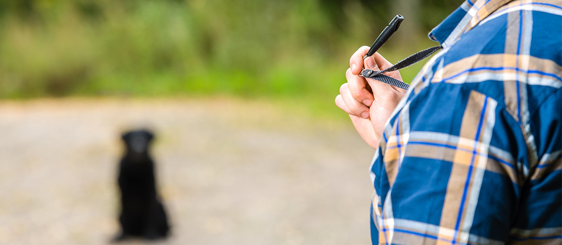 Man holding dog whistle