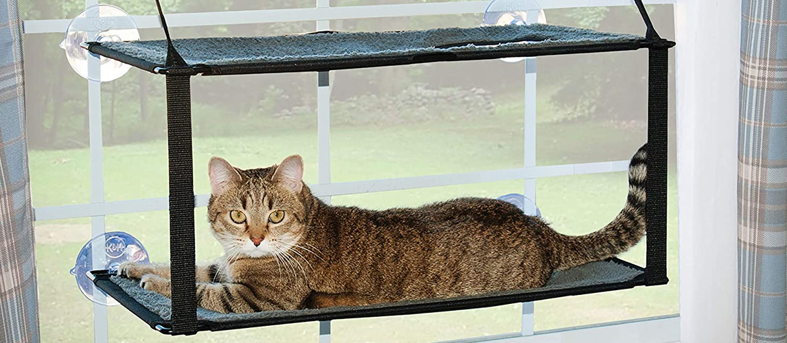 Window Mount Kitty Sill