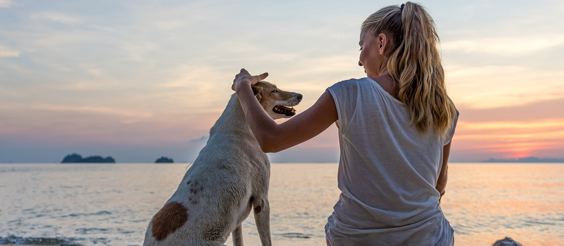 Young woman with dog sitting on the beach and watching t