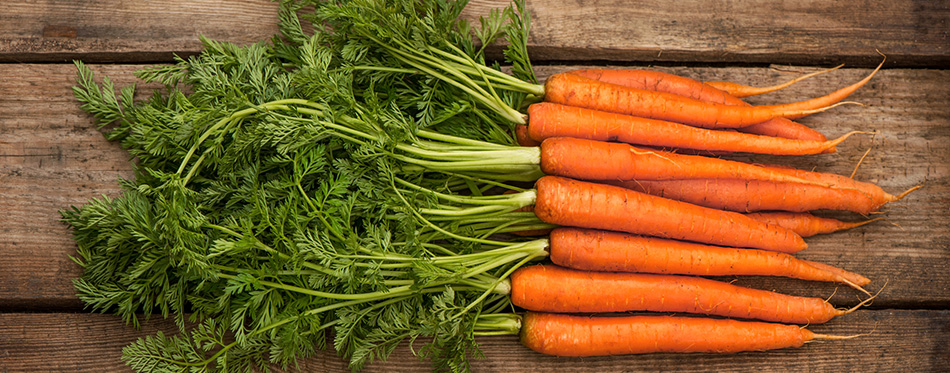 Bunch of fresh carrots over wooden background