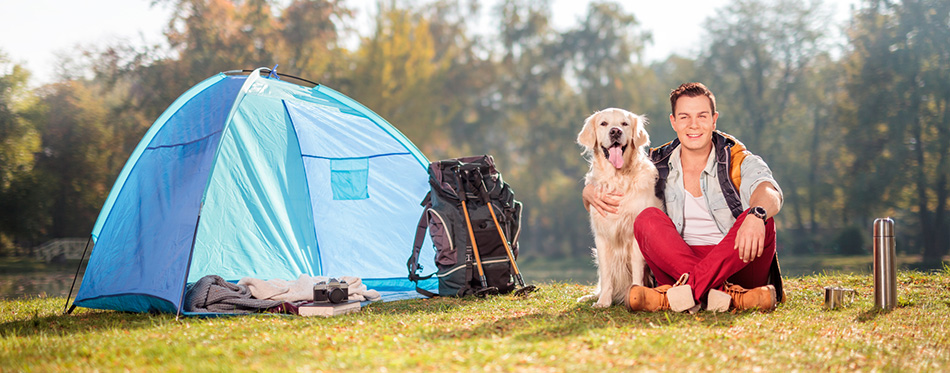 Camper on the grass hugging a dog