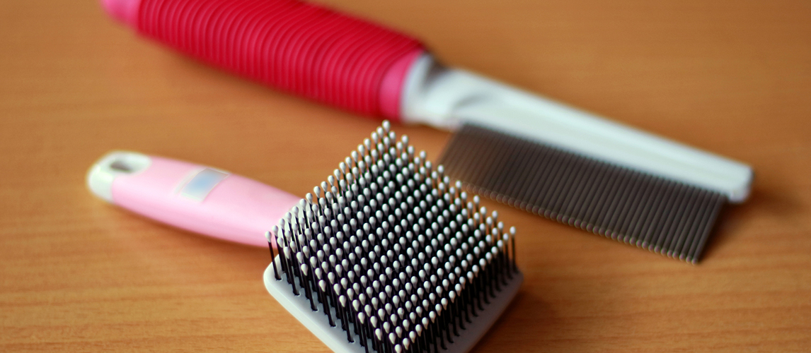 Comb and flea comb for cat and dog.