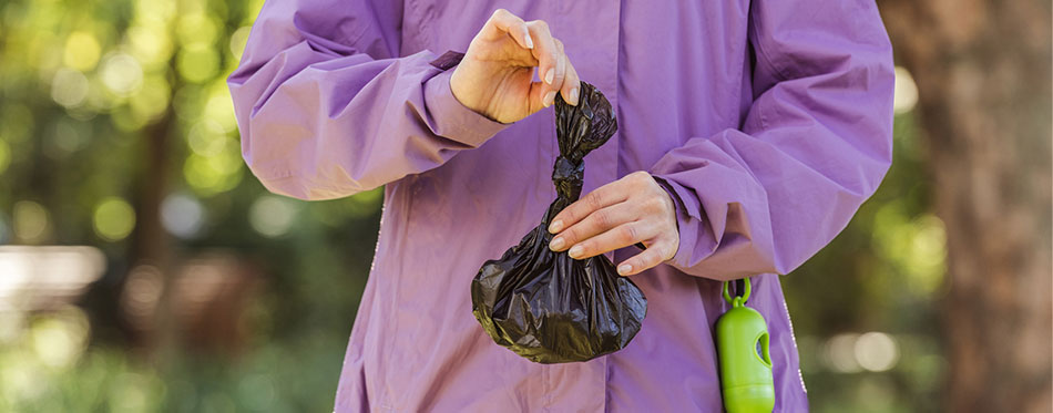 Cropped shot of young woman holding trash bag while cleaning after pet in park