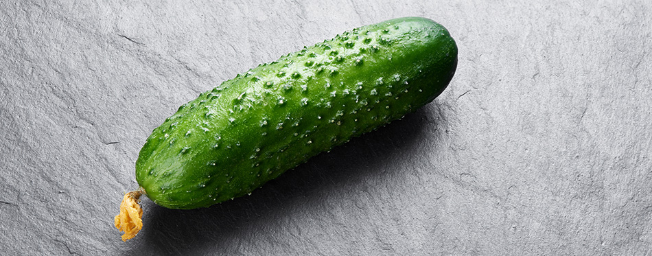 Cucumber