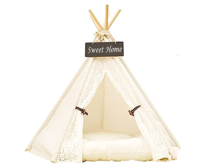 best dog teepee