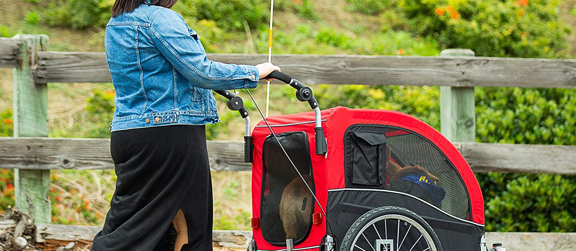 Dog Stroller and Trailer