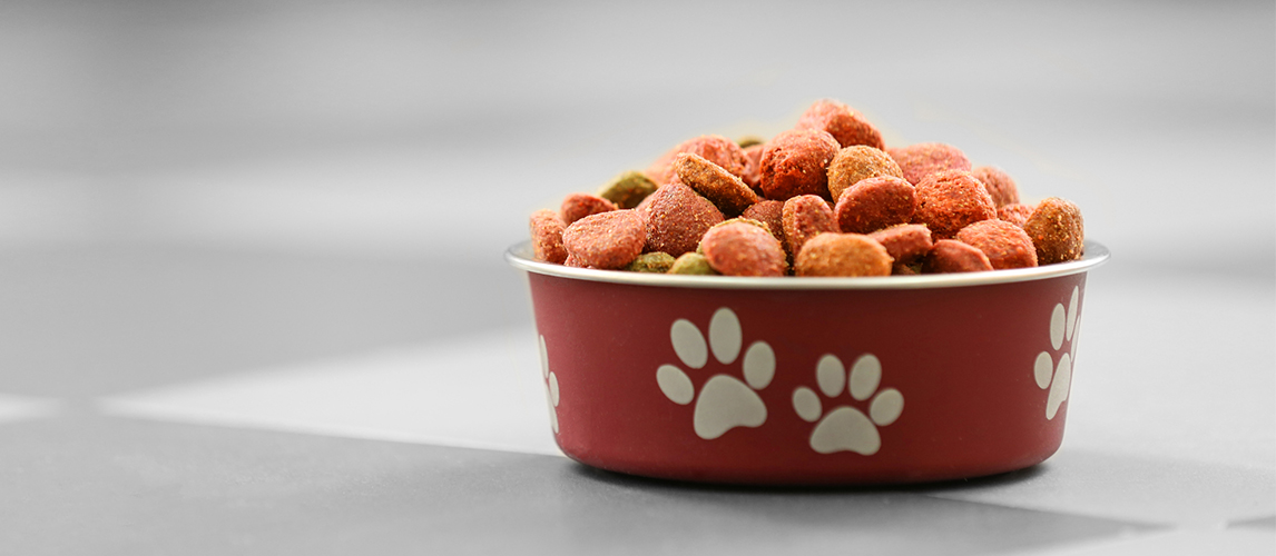 Dog food in red bowl