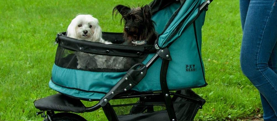 Double Dog Stroller