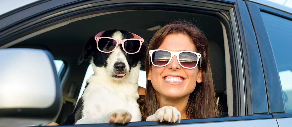 Funny woman with dog in car