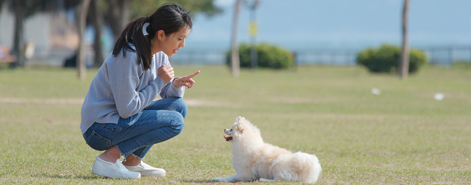 Girl training her dog