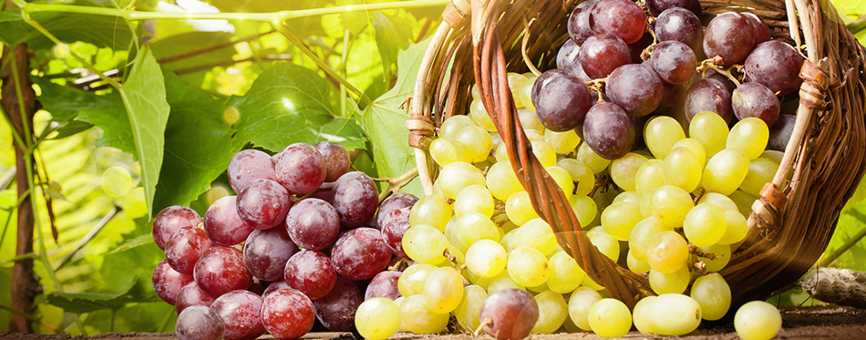Grapes in a basket