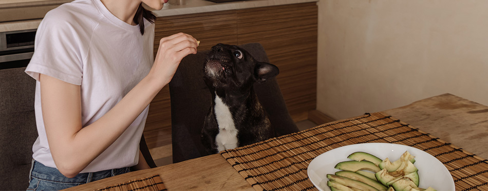 Happy young woman holding sliced avocado