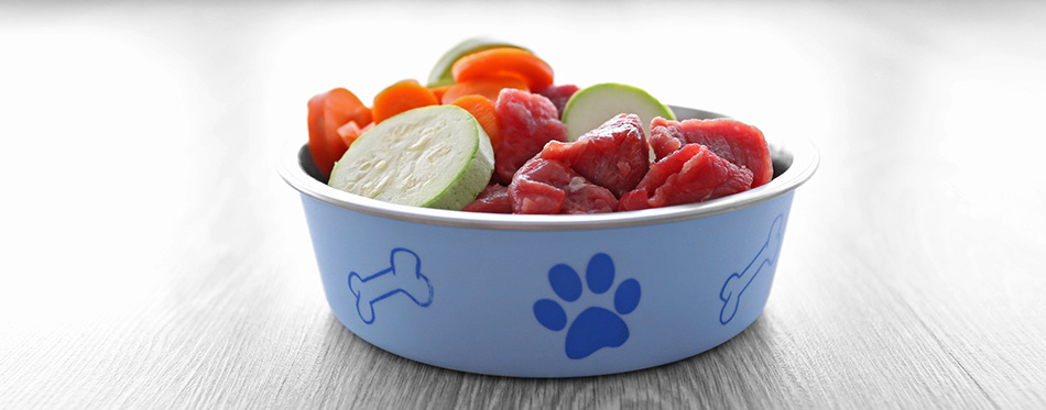 Organic dog food in bowl