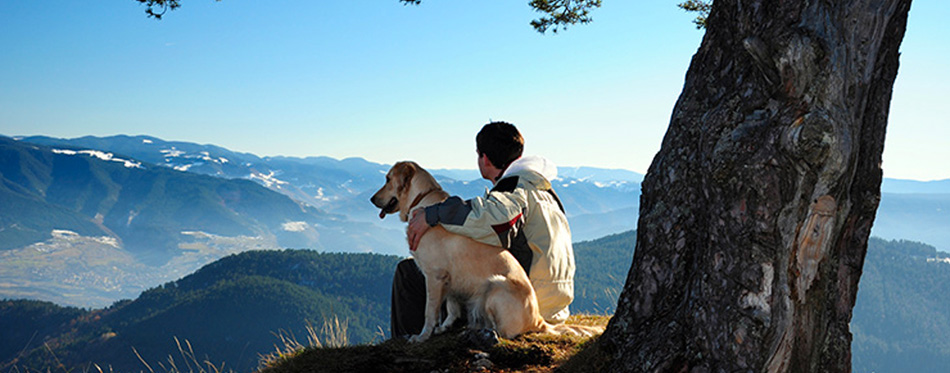 Owner and his Dog