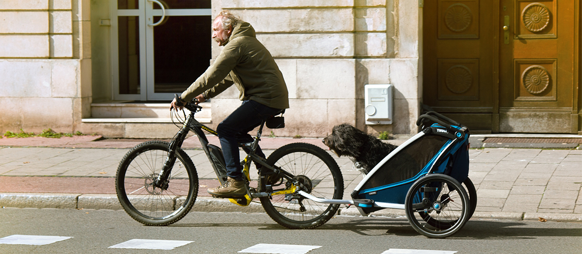 Owner and his dog on a bike