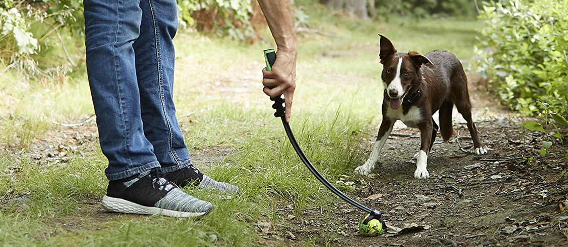 Owner and his dog playing