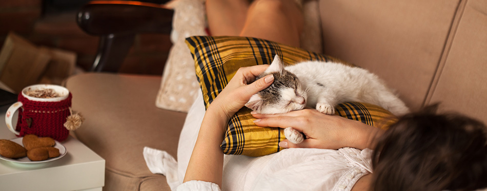 Owner and the cat resting in front of the fireplace