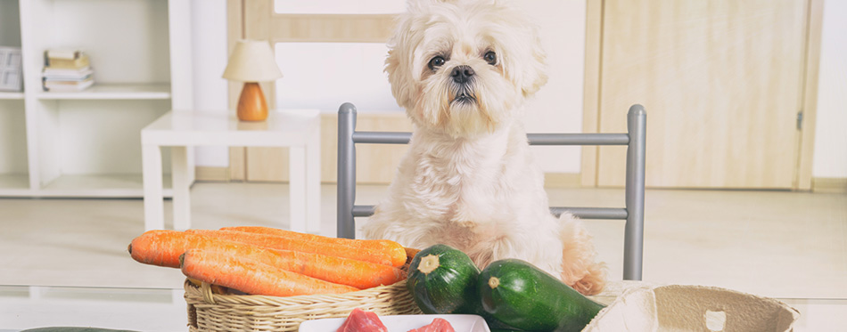 Preparing natural food for pets 