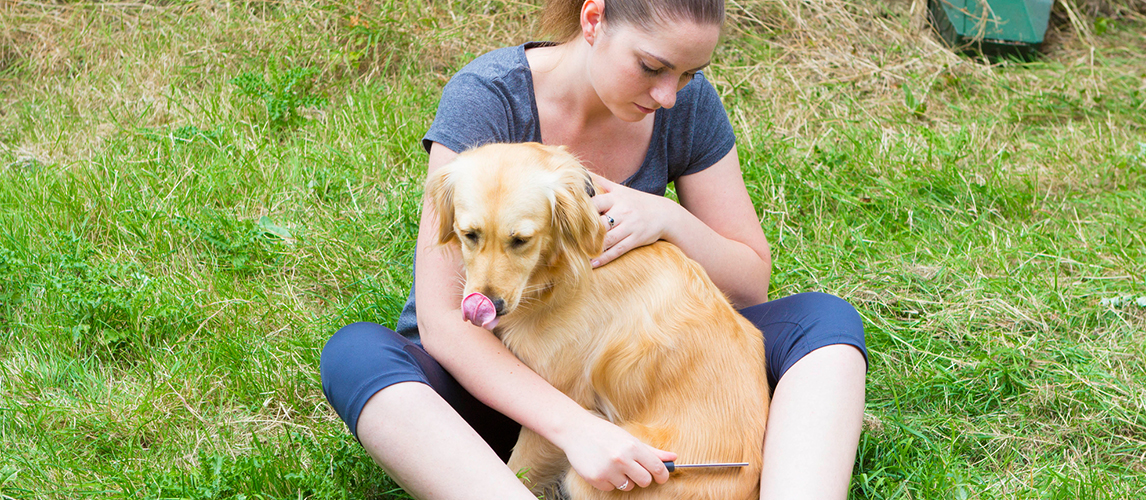 Pretty girl combing fur of dog outdoor 