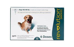 liquid heartworm medicine for dogs