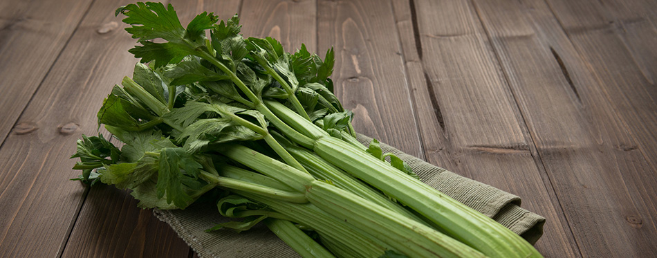 Shrub celery