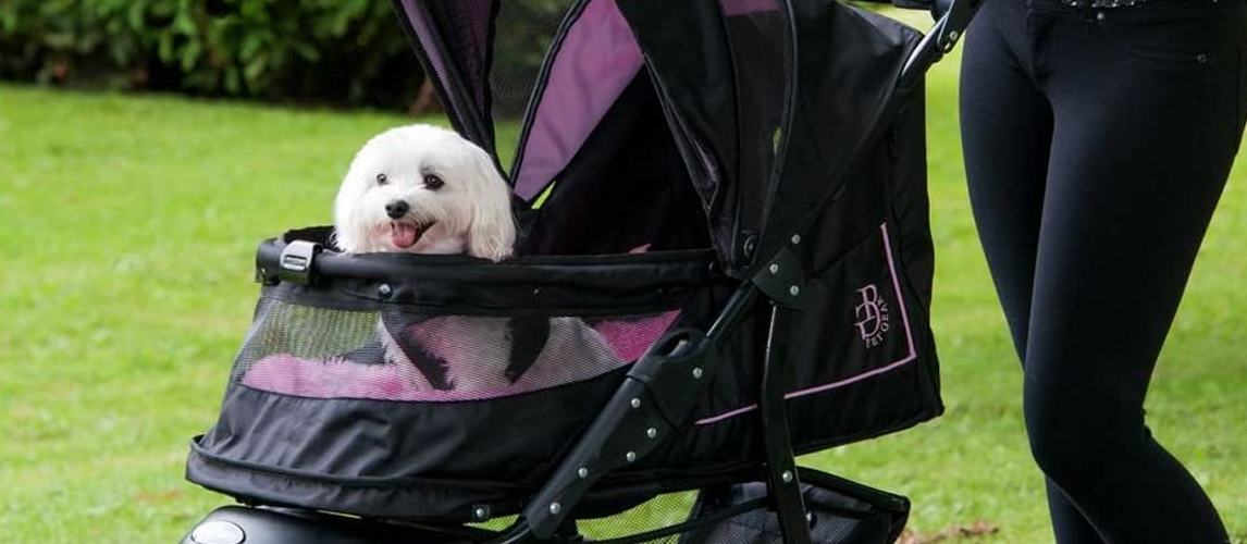 Stroller for Dogs
