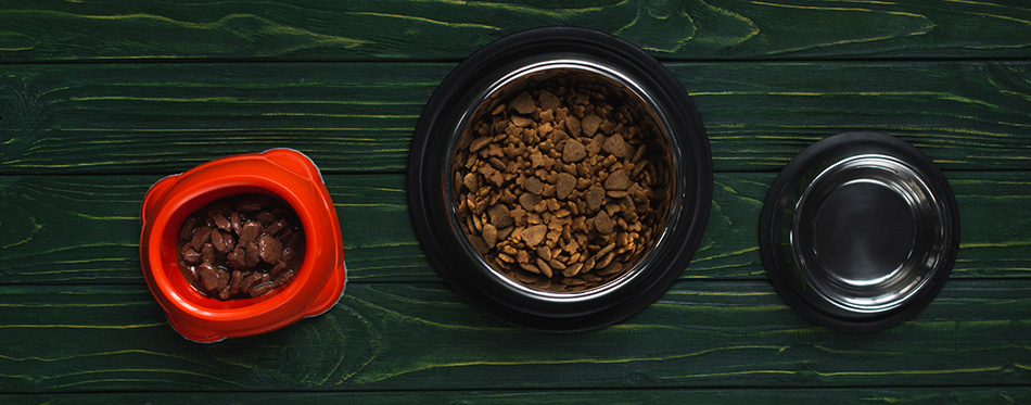 Top view of bowls with pet food in row on green wooden surface