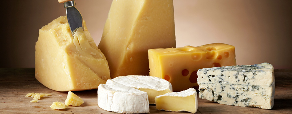 Various types of cheese