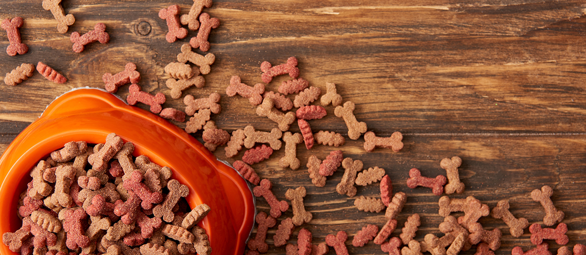 View from above of plastic bowl with pile of dog food