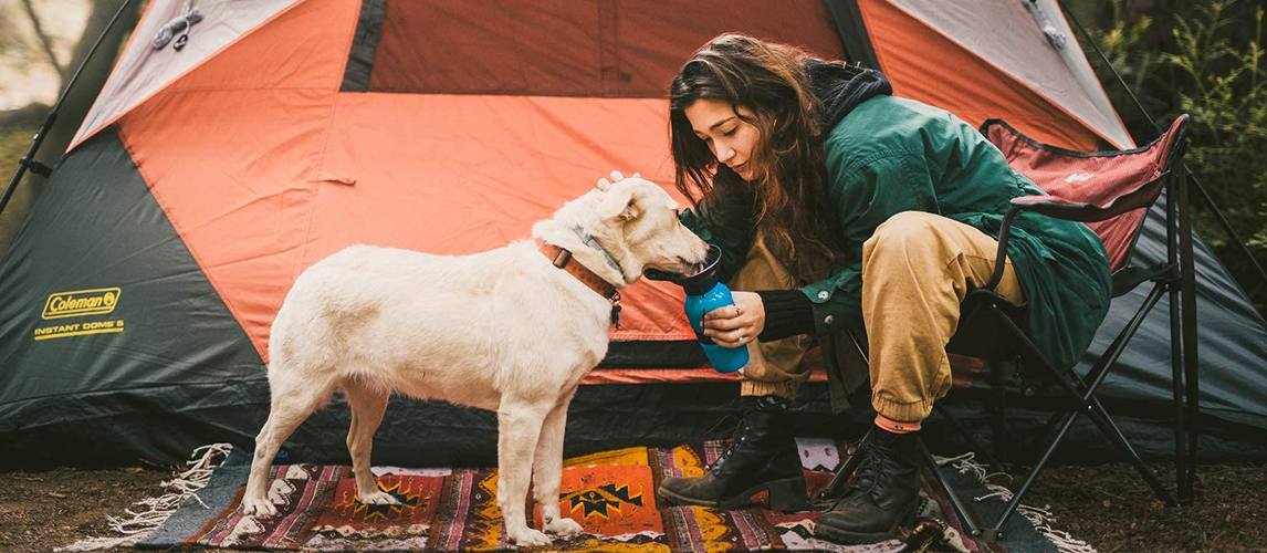 Woman giving water to the dog