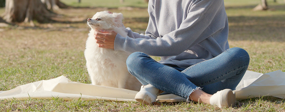 Woman playing with her dog at outdoor