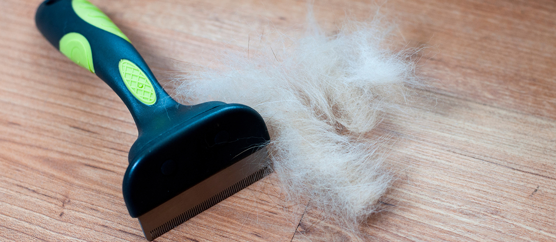 A pile of dog hair with a slicker brush