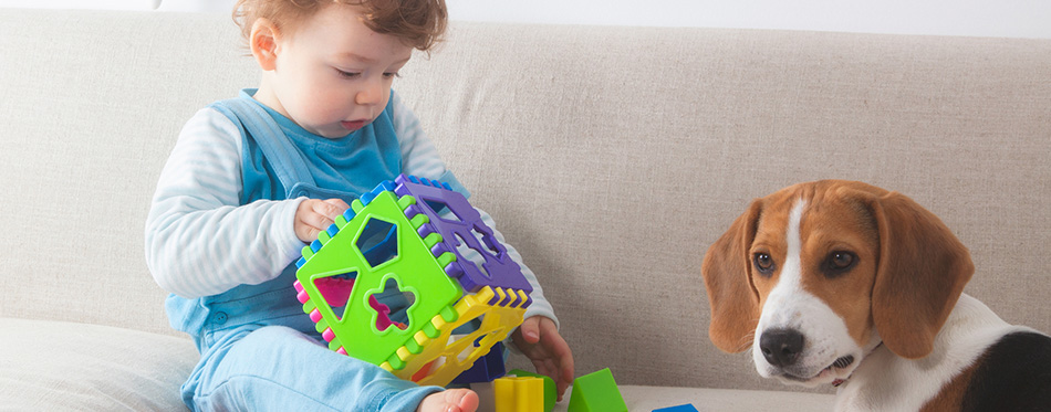 Baby boy playing at home 