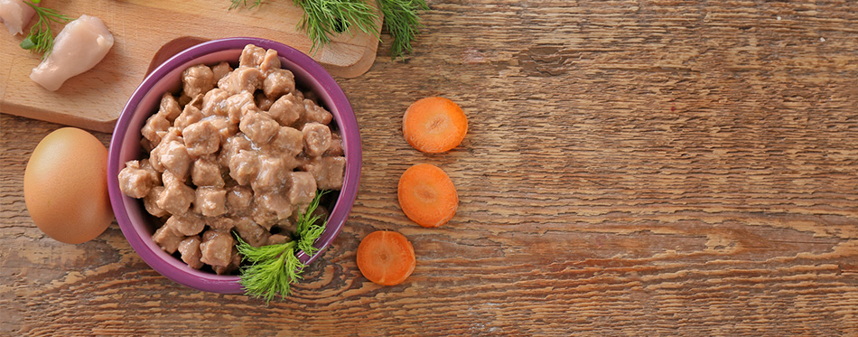 Bowl with pet food and natural products 