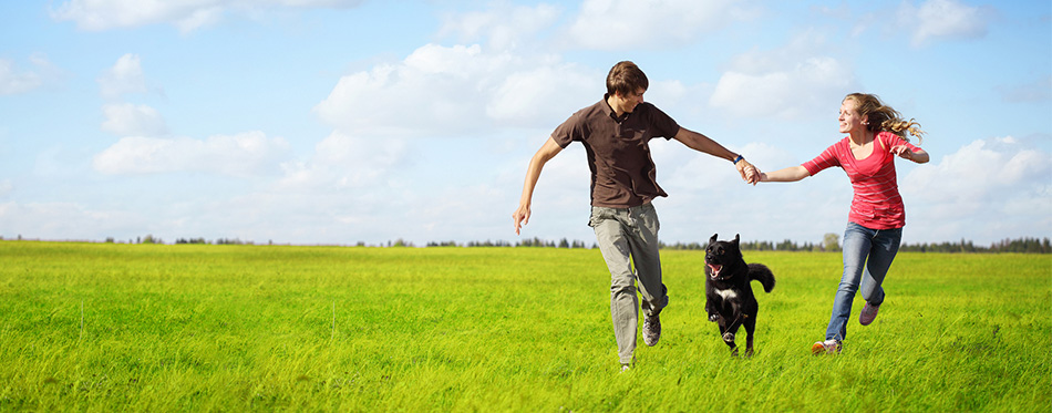 Couple running with a dog