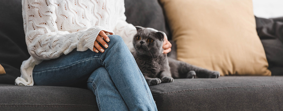 Cropped view of beautiful woman in blanket sitting on sofa 