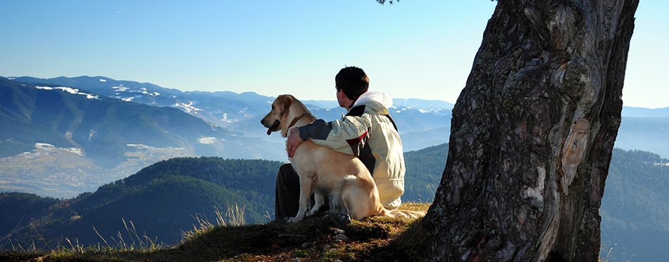 Man enjoying mountain view with his dog