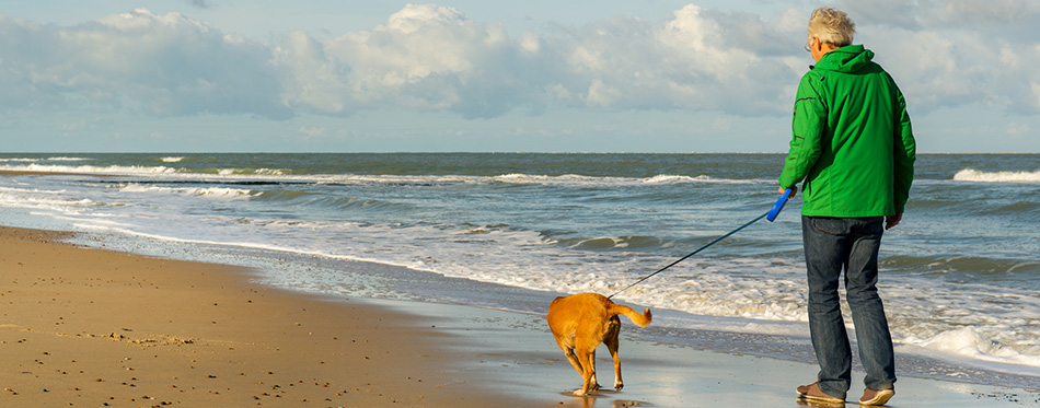 Man walking with dog at beach