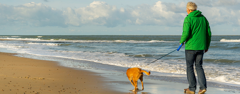 Man walking with dog at beach