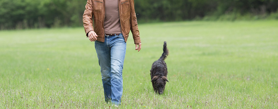 Man with dog 